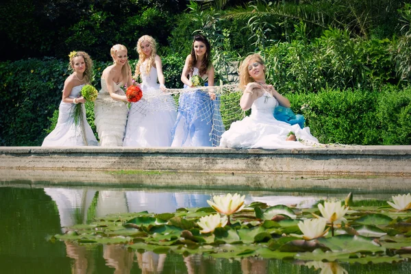 Cinco hermosas novias al aire libre — Foto de Stock