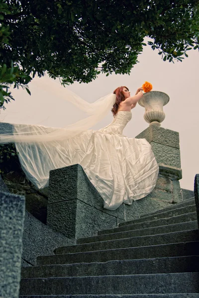 Невесты позируют — стоковое фото