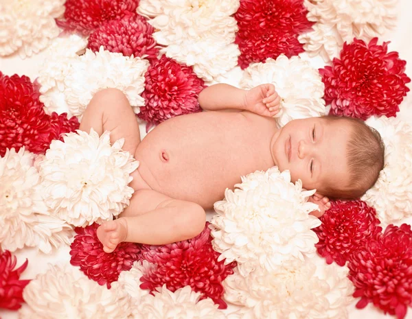 花のベッドの新生児 — ストック写真