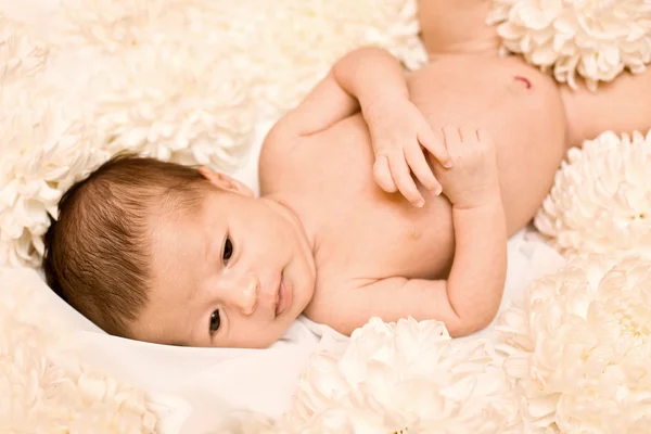 Newborn on bed of Flowers — Stock Photo, Image