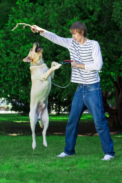 Человек, играющий с собакой — стоковое фото