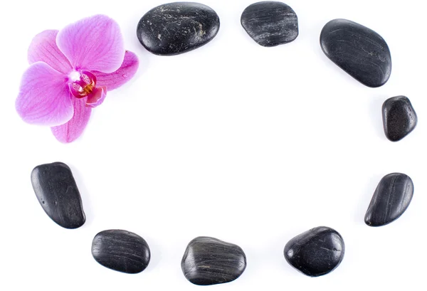 Pink Orchid Stone Frame — Stock Photo, Image