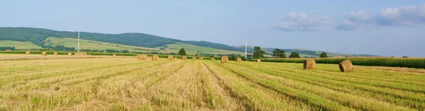 Meadow Hay Bales Panorama — Stock Photo, Image