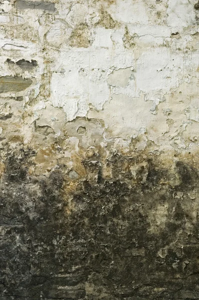 Piszkos penészes régi fal — Stock Fotó