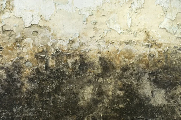 Βρώμικο μουχλιασμένο παλαιό τοίχο — Φωτογραφία Αρχείου