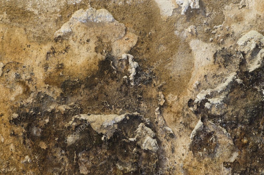 Grunge Mouldy Wall — Stock Photo © hddigital #4055099