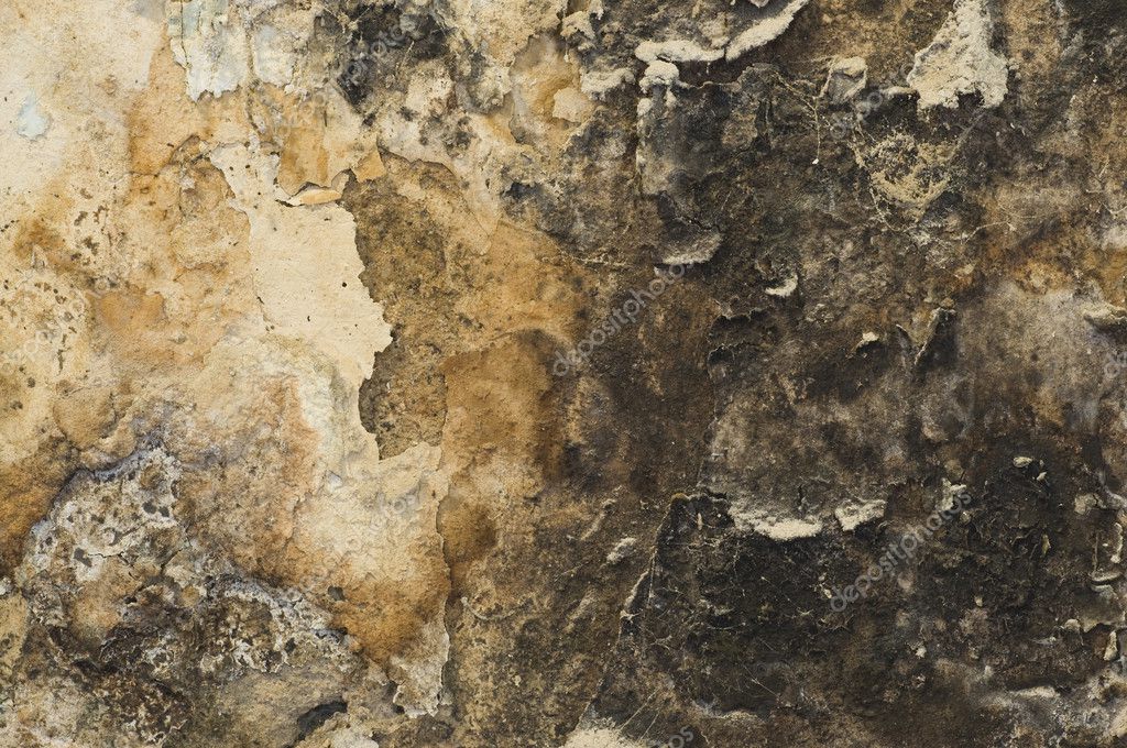 Grunge Mouldy Wall — Stock Photo © hddigital #4055697