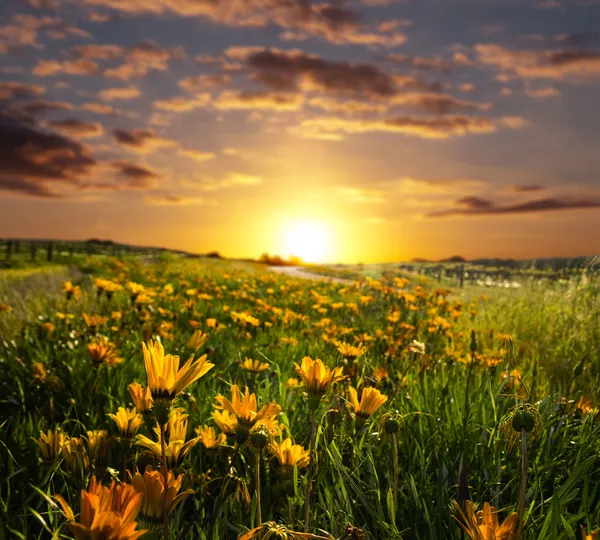 Sonnenaufgang oder Sonnenuntergang — Stockfoto