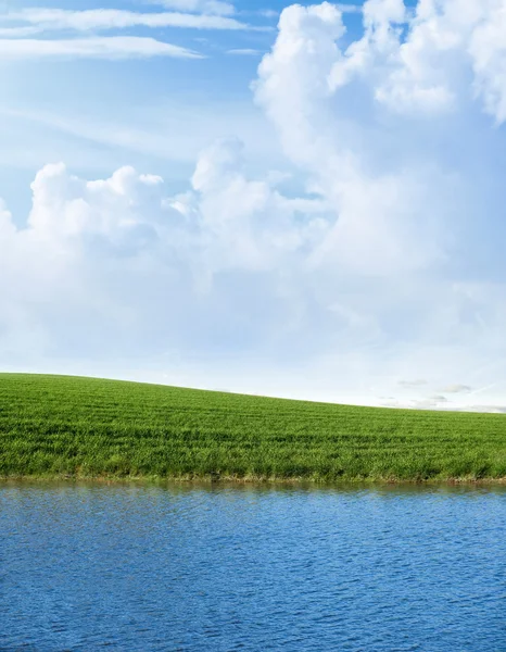 Grönt fält med vatten — Stockfoto