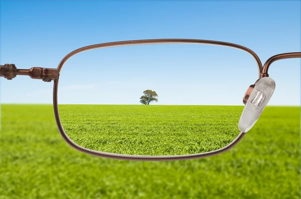 Clear Vision — Stock Photo, Image
