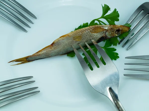 Pesce su una spina — Foto Stock