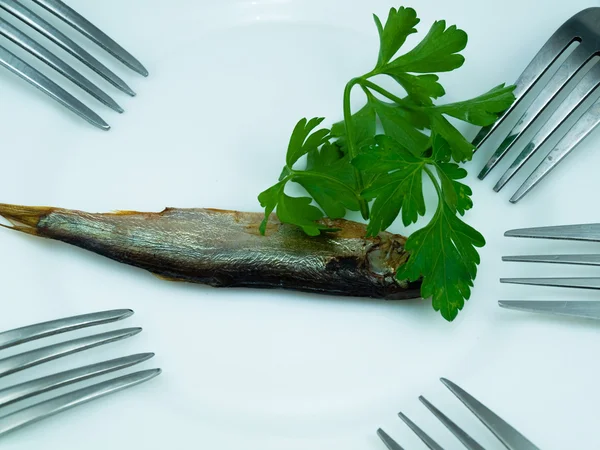 Un pesce e spine — Foto Stock