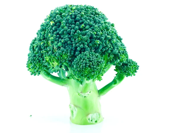 Brokkoli — Stockfoto