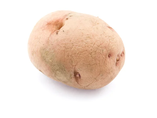 Eine Knolle Einer Kartoffel Matt Und Mit Falten Auf Weißem — Stockfoto