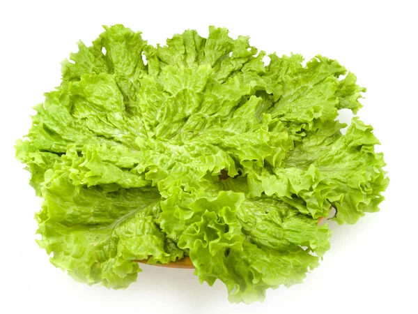 Folhas de salada em uma chapa — Fotografia de Stock