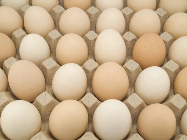 Stock image Many crude and whole eggs fill a tray