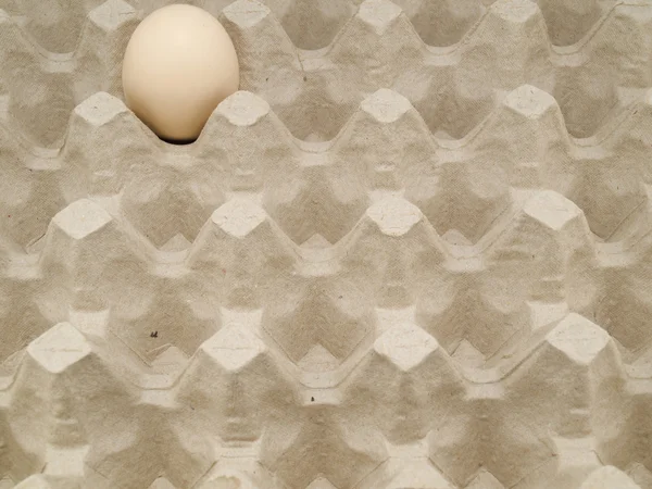 Ένα Αυγό Βρίσκεται Ένα Δίσκο Για Αυγά Που Θυμίζει Θέσεις — Φωτογραφία Αρχείου