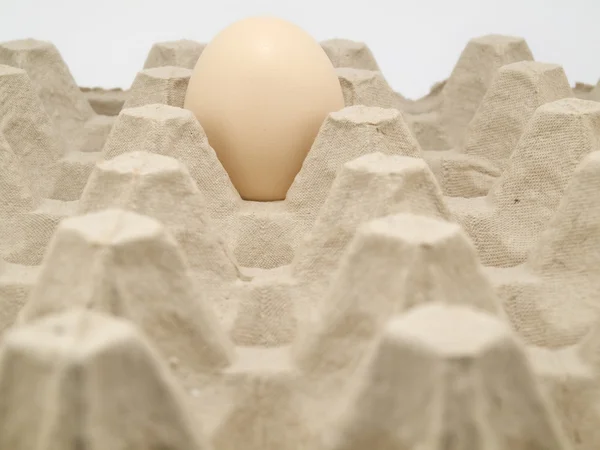 Ένα Αυγό Βρίσκεται Ένα Δίσκο Για Αυγά — Φωτογραφία Αρχείου
