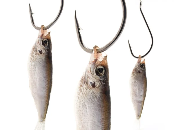 stock image Three sprats