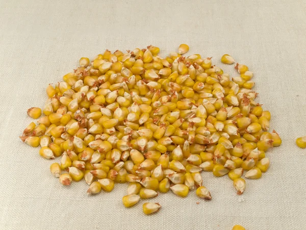 Груда кукурузы — стоковое фото