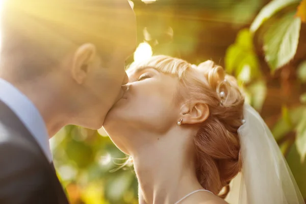 美丽的白种人夫妇在树下接吻的特写肖像 — 图库照片