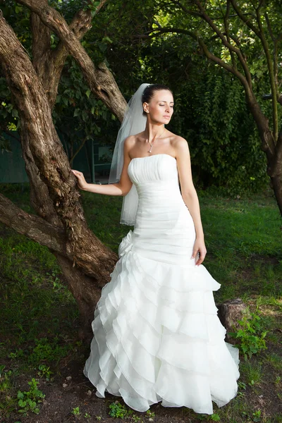 在漂亮的衣服站在这棵老树旁边的吸引力白种人新娘 — 图库照片