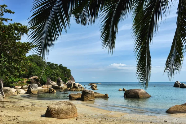 Tropische lamai beach, thailand — Stockfoto