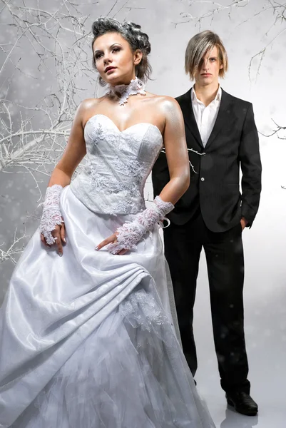 Beautiful Bride Groom Royalty Free Stock Images