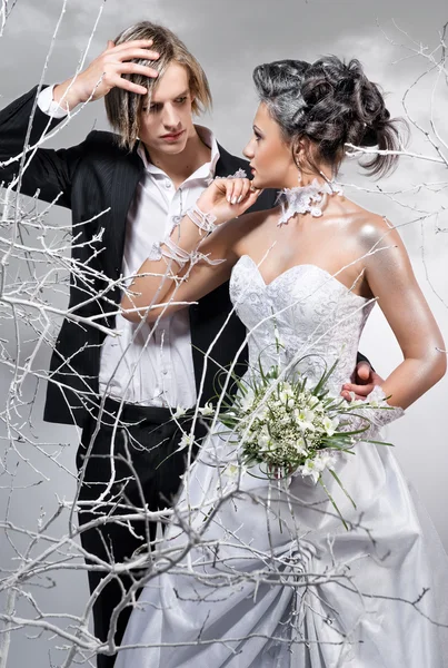 Gyönyörű Menyasszony Vőlegény — Stock Fotó