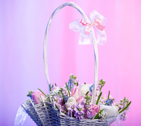 Beautiful spring flowers in a basket — Stock Photo, Image