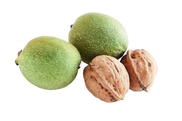 stock image Walnuts