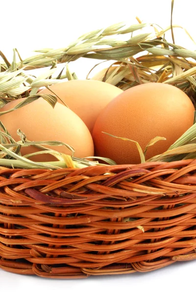 Três Ovos Cesta Com Feno Contra Fundo Branco — Fotografia de Stock