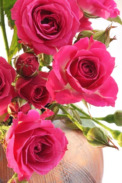 Букет Розовых Роз Бутонами — стоковое фото