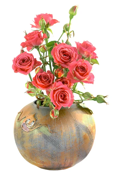 Roses Vase Isolated White Background — Stock Photo, Image