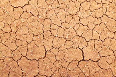 Cracked clay ground into the dry season clipart