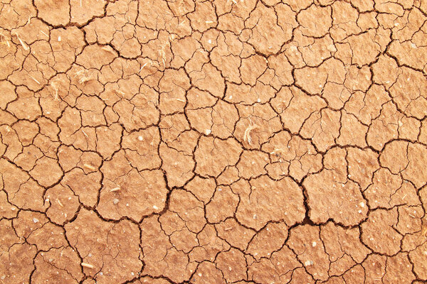 Cracked clay ground into the dry season