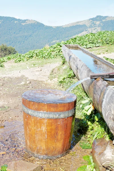 stock image The water