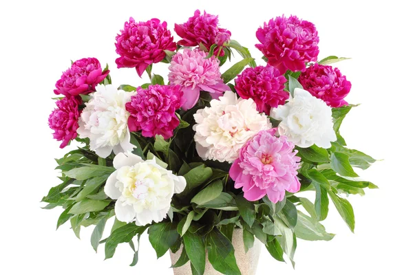 Bouquet of pions — Stock Photo, Image