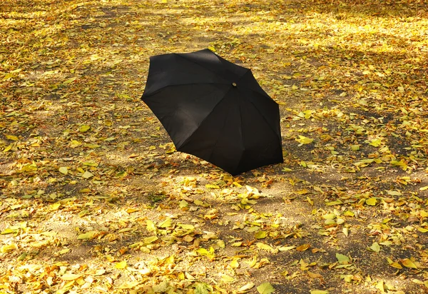 stock image Umbrella in a park