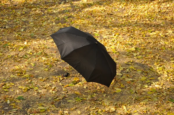 stock image Umbrella in a park