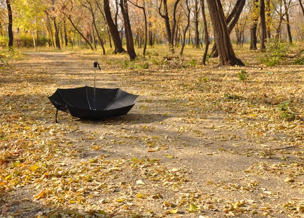 Ομπρέλα σε ένα πάρκο — Φωτογραφία Αρχείου