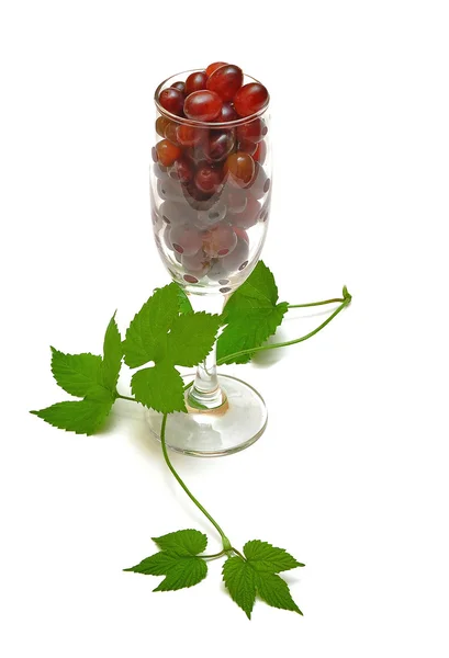 红葡萄和玻璃 — 图库照片