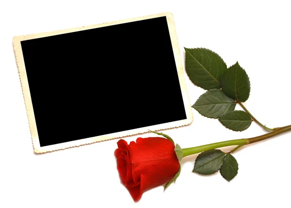 Régi fénykép, és vörös rózsa — Stock Fotó