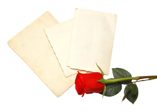 Παλιά φωτογραφία και κόκκινο τριαντάφυλλο — Φωτογραφία Αρχείου