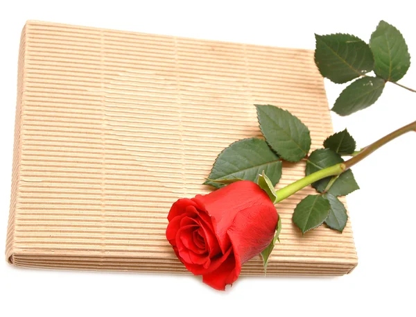Rosa rossa e confezione regalo — Foto Stock