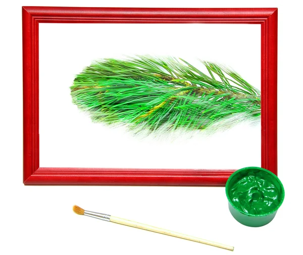 Immagine dei rami verdi di abete rosso — Foto Stock