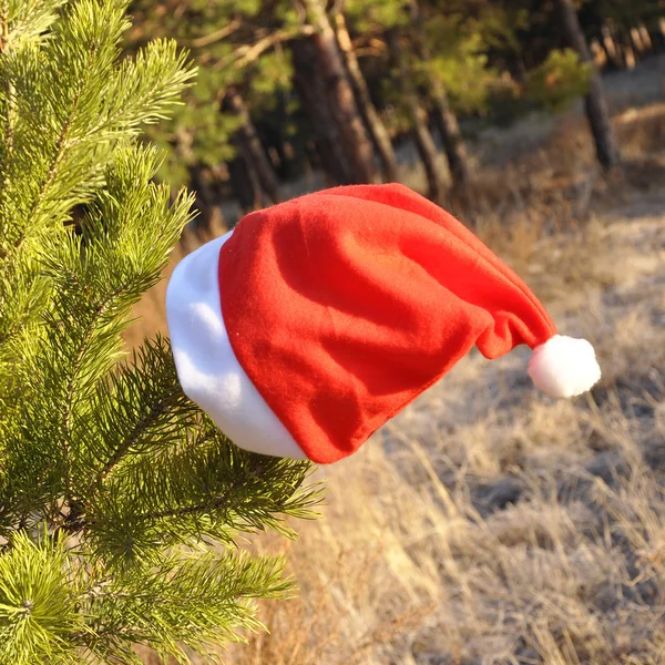 Santa Claus Hat — Stock Photo, Image