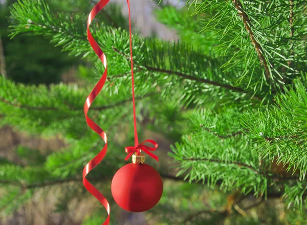クリスマス デコレーション赤いボール — ストック写真