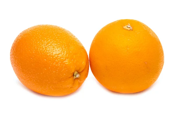Arancione su sfondo bianco — Foto Stock