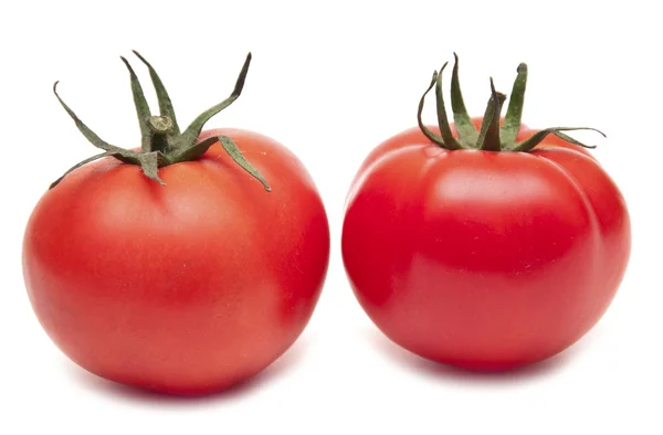 Due pomodori freschi isolati su fondo bianco . — Foto Stock